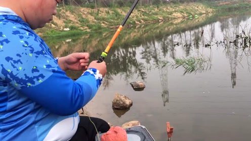 宝峰钓鱼  这个季节钓野河如何选择钓位 [视频]